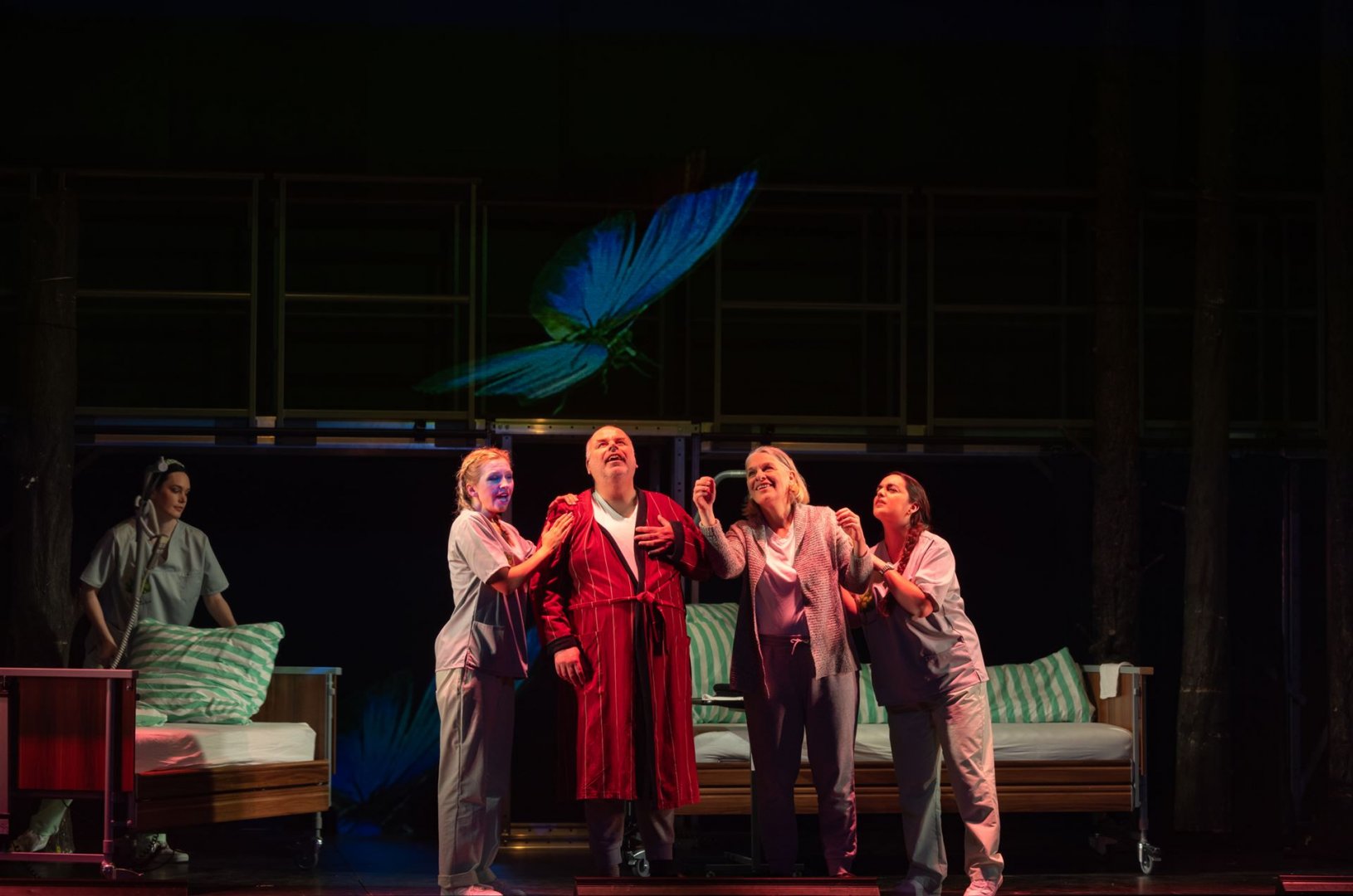 Grete, Hans und Pflegerinnen beobachten einen großen Schmetterling